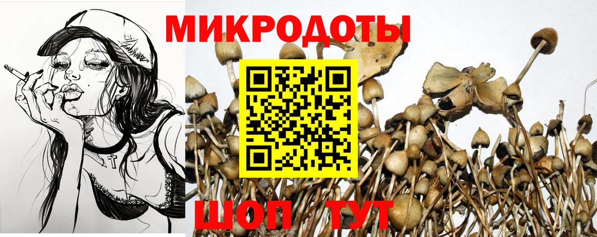 Галлюциногенные грибы Psilocybine cubensis  Вход с VPN  Псилоцибиновые грибы Cubensis  Курганинск 